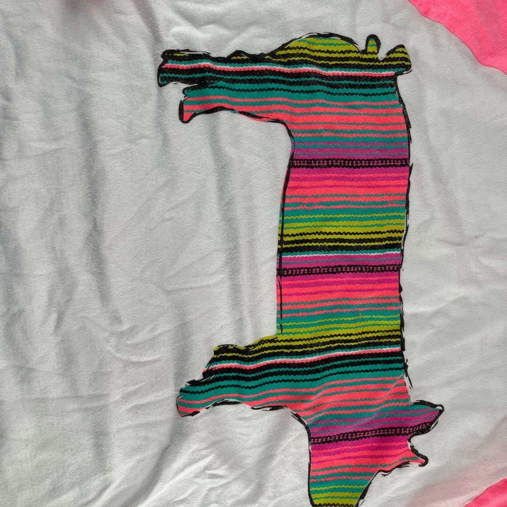 Crazy Train Pink and White Long Sleeve Tee with Striped Animal - Picture 2 of 4